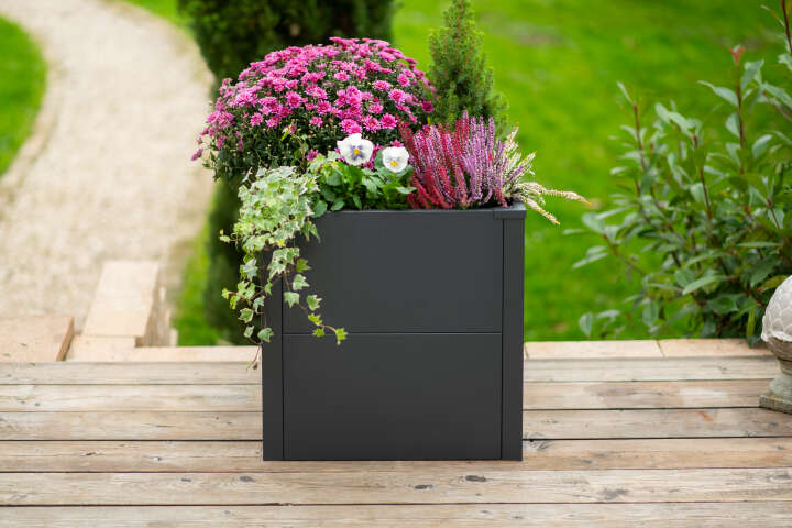 WESTMANN Pflanzkübel Talus